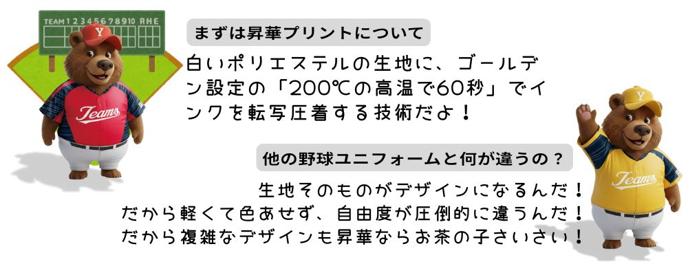 ゼビオKIBARUキバル昇華プリントについて